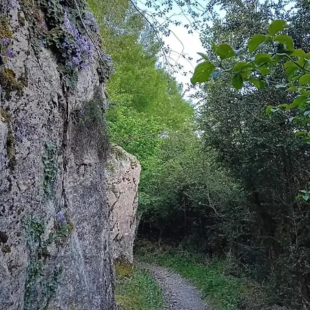 Casa Tomas - * Saravillo
