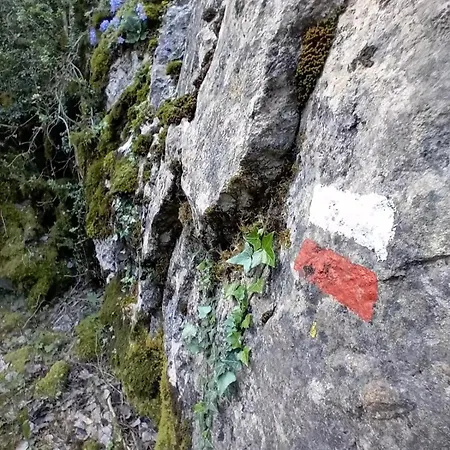 Casa Tomas - Saravillo