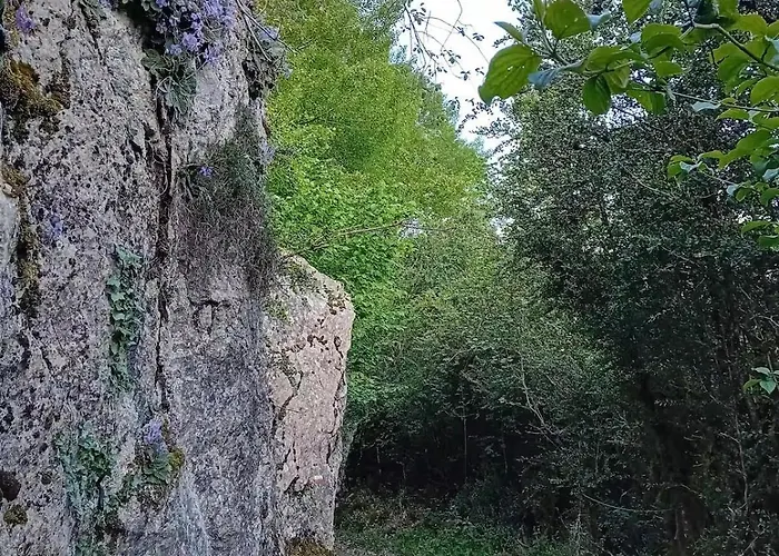 Casa Tomas - * Saravillo