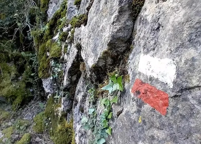 Casa Tomas - Saravillo